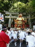 kamiichi_ujikosai_h270505_12.jpg